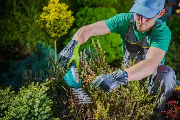 landscaping services Baraga